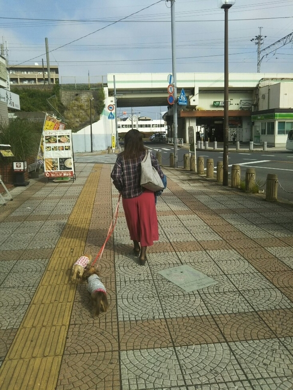 f:id:hirotaka72:20181110101905j:image:w235