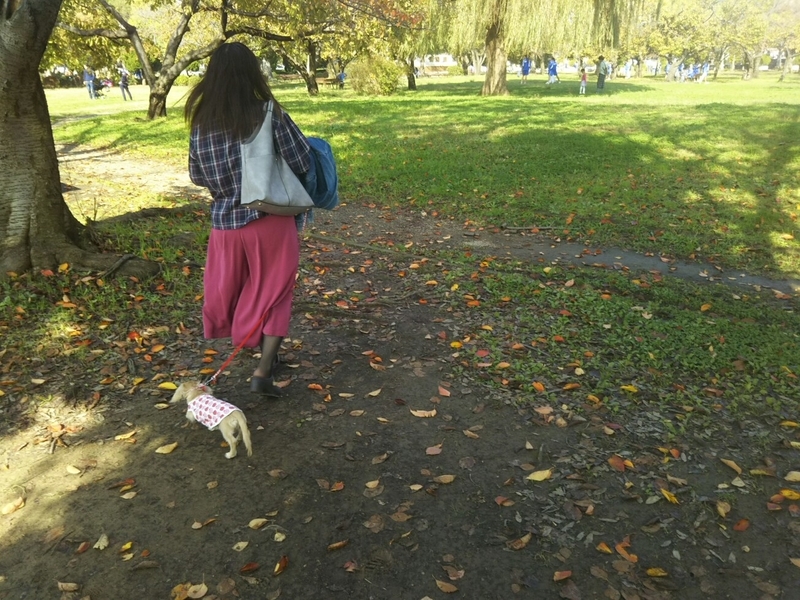 f:id:hirotaka72:20181110104457j:image:w415