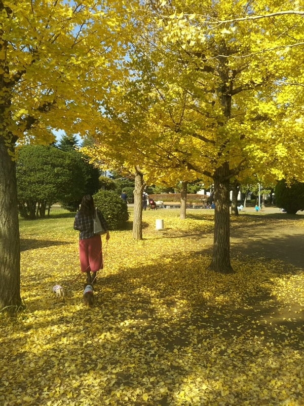 f:id:hirotaka72:20181110104800j:plain