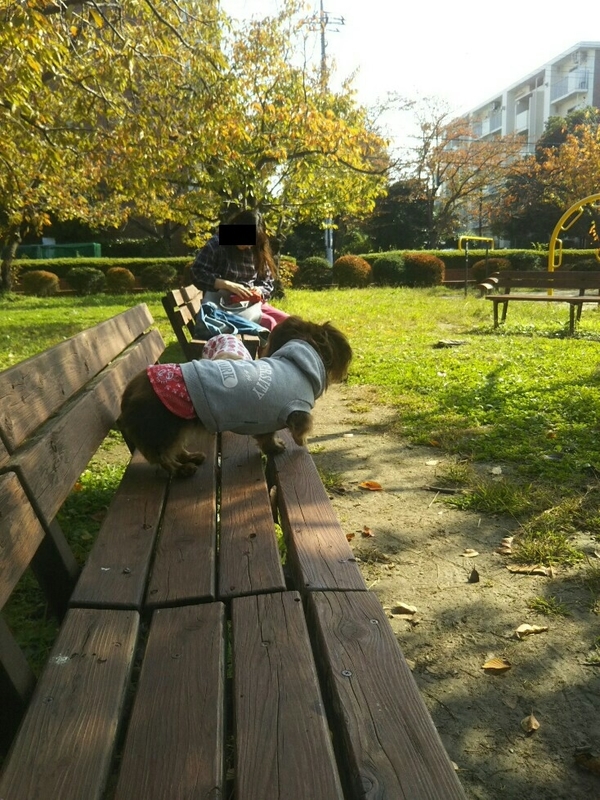 f:id:hirotaka72:20181110105457j:plain
