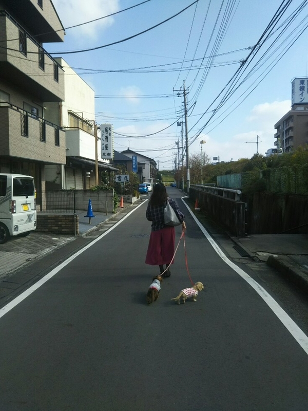 f:id:hirotaka72:20181110112251j:plain