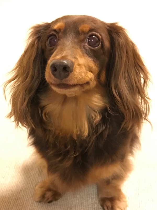 f:id:hirotaka72:20181113211347j:plain