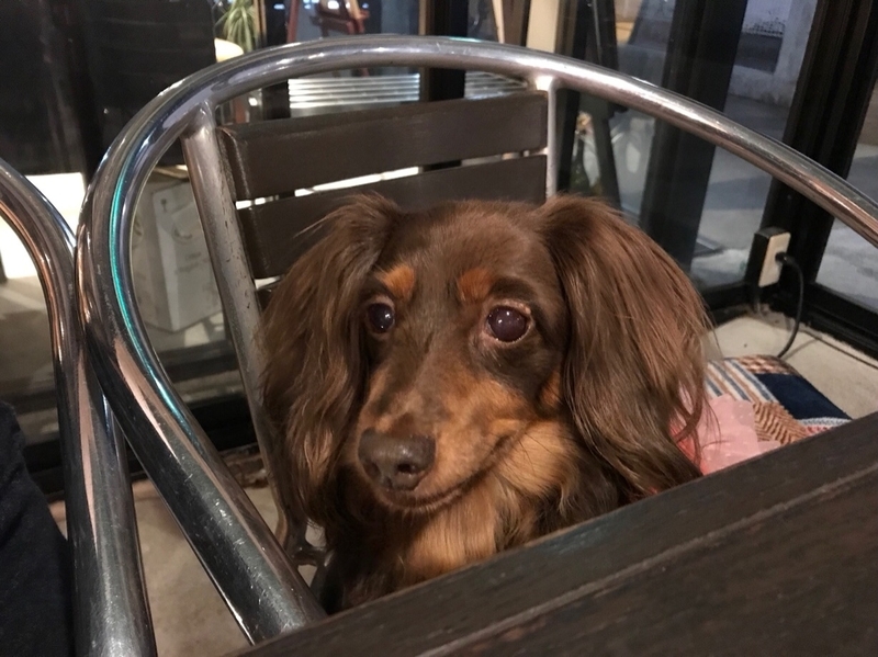 f:id:hirotaka72:20181113212251j:plain