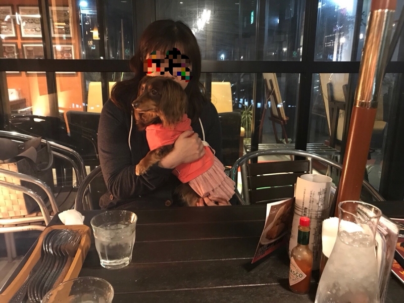 f:id:hirotaka72:20181113212256j:plain