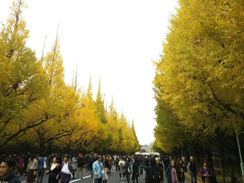 f:id:hirotaka72:20181118135803j:plain