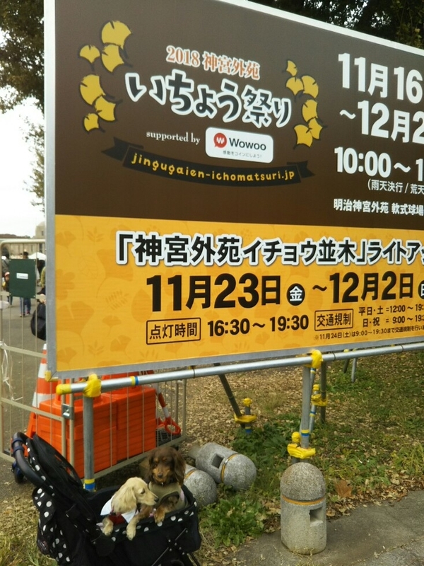 f:id:hirotaka72:20181118140520j:plain