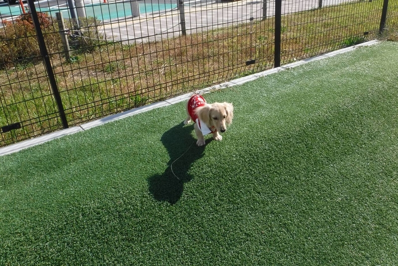 f:id:hirotaka72:20181123104949j:plain