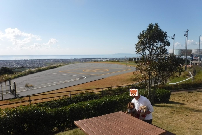 f:id:hirotaka72:20181123105637j:plain