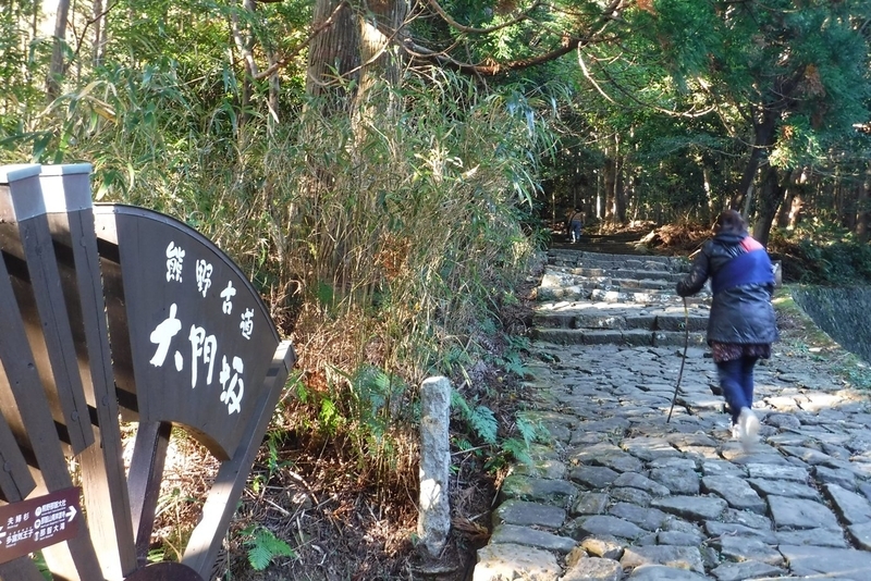 f:id:hirotaka72:20181124074536j:plain
