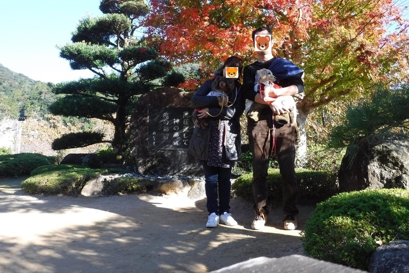 f:id:hirotaka72:20181124085708j:image:w450