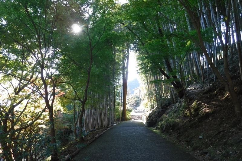 f:id:hirotaka72:20181124090619j:plain