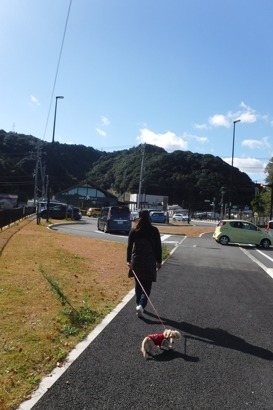 f:id:hirotaka72:20181124105337j:image:w200
