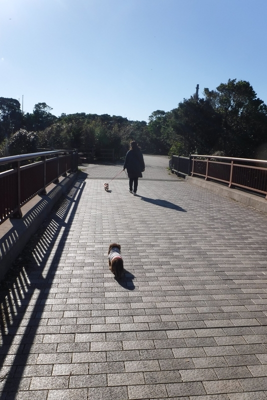 f:id:hirotaka72:20181124132437j:image:w200