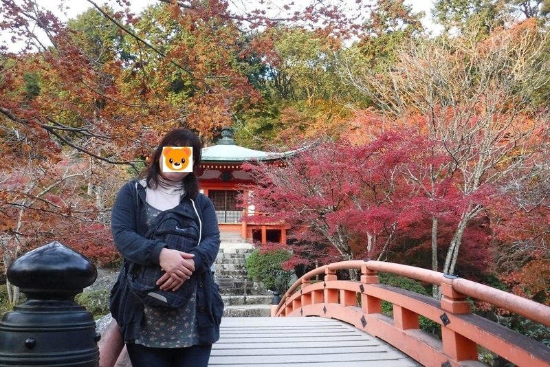 f:id:hirotaka72:20181125155252j:plain