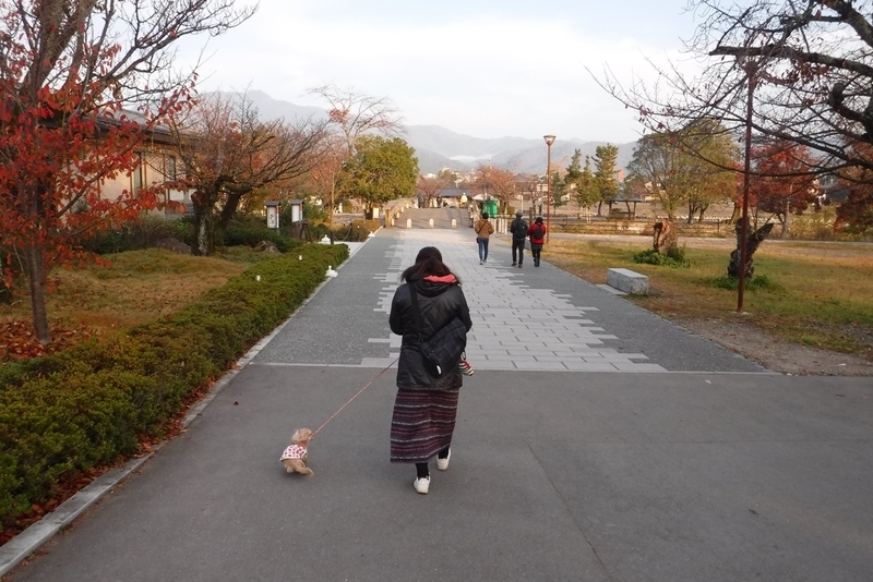 f:id:hirotaka72:20181126072229j:plain