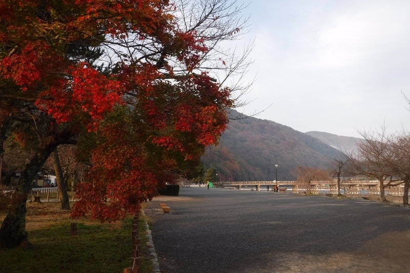 f:id:hirotaka72:20181126072425j:plain