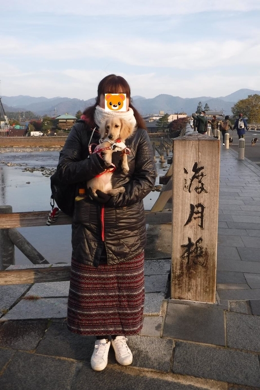 f:id:hirotaka72:20181126073140j:image:w200