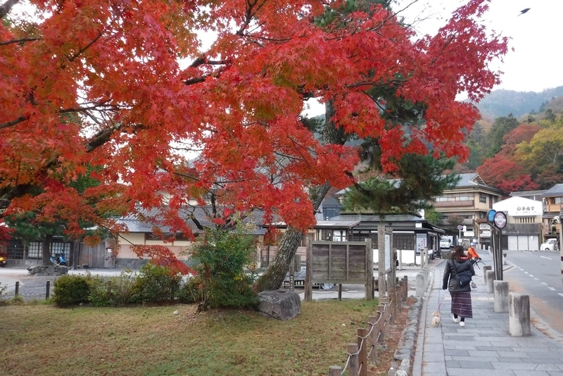 f:id:hirotaka72:20181126073522j:plain