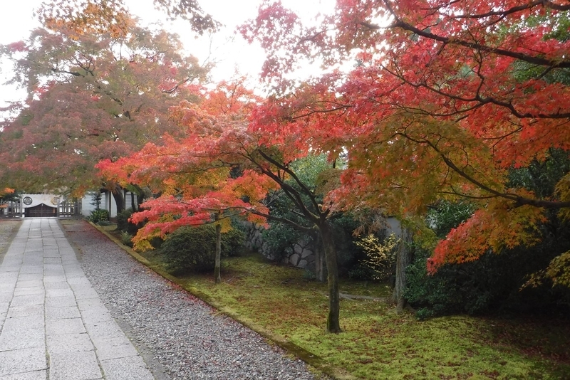 f:id:hirotaka72:20181126083631j:plain