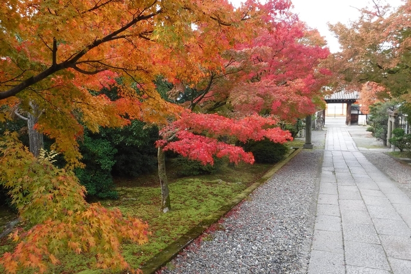 f:id:hirotaka72:20181126083704j:plain