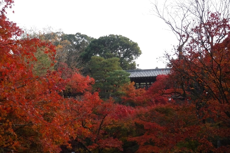 f:id:hirotaka72:20181126090604j:plain