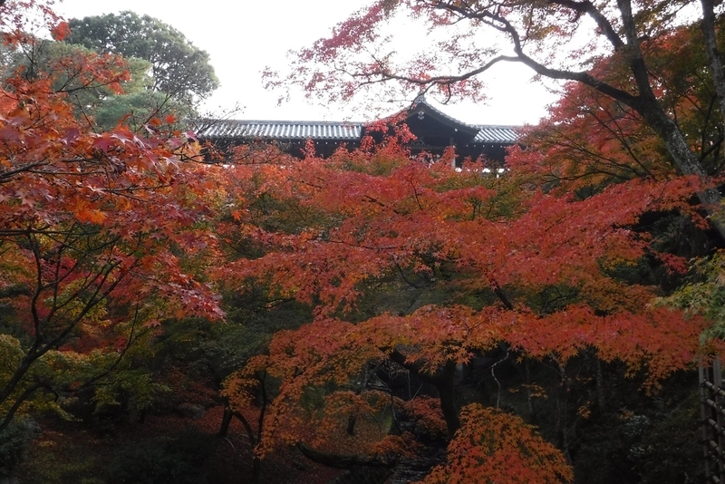f:id:hirotaka72:20181126090810j:plain