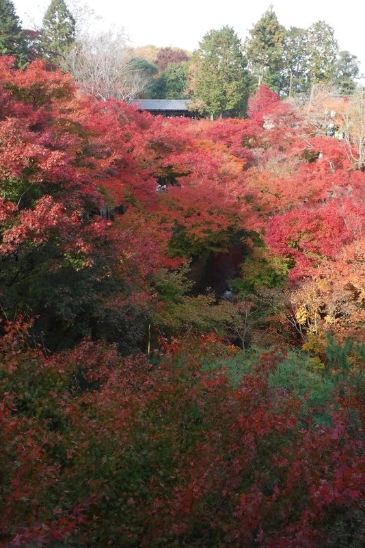 f:id:hirotaka72:20181126093039j:plain