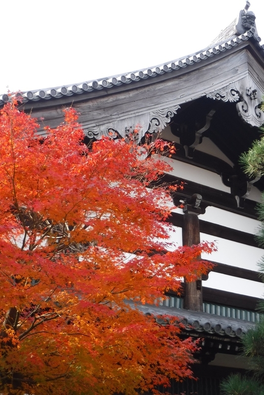 f:id:hirotaka72:20181126093439j:image:w200