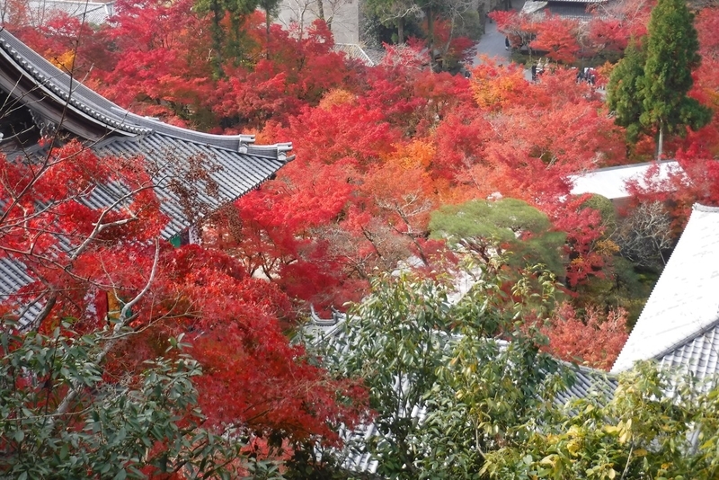 f:id:hirotaka72:20181126111700j:image:w450