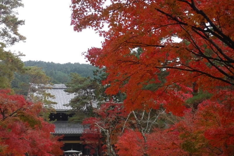 f:id:hirotaka72:20181126123200j:plain