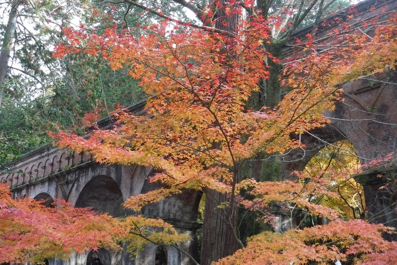 f:id:hirotaka72:20181126124530j:plain