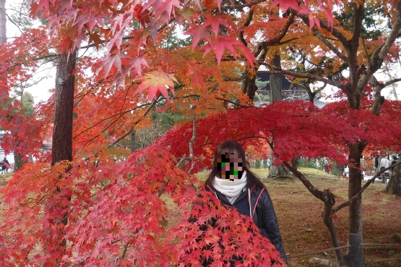 f:id:hirotaka72:20181128230405j:plain