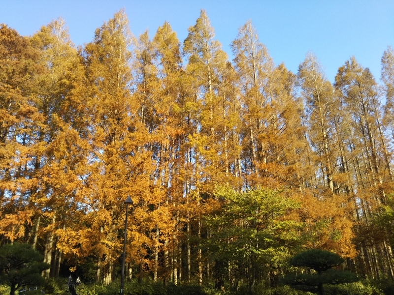 f:id:hirotaka72:20181201123953j:plain