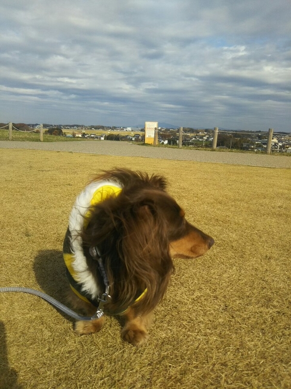 f:id:hirotaka72:20181208121307j:plain