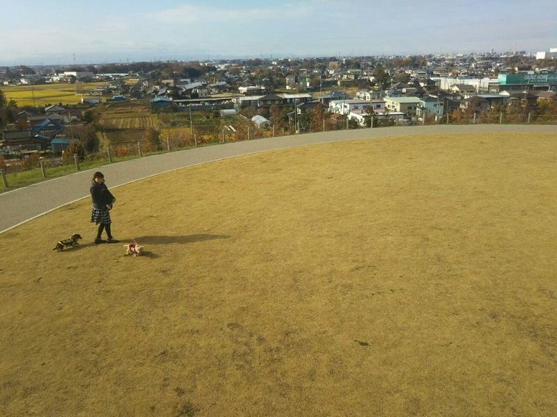 f:id:hirotaka72:20181208121421j:plain