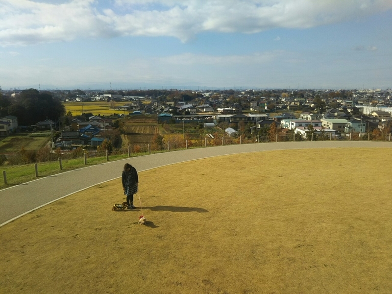 f:id:hirotaka72:20181208121440j:plain