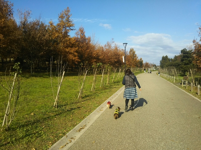 f:id:hirotaka72:20181208125356j:plain
