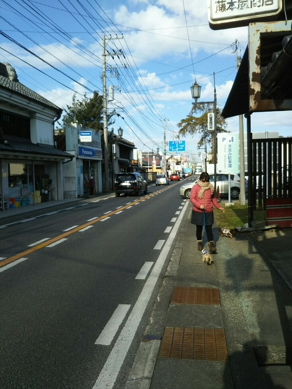 f:id:hirotaka72:20181215095601j:plain