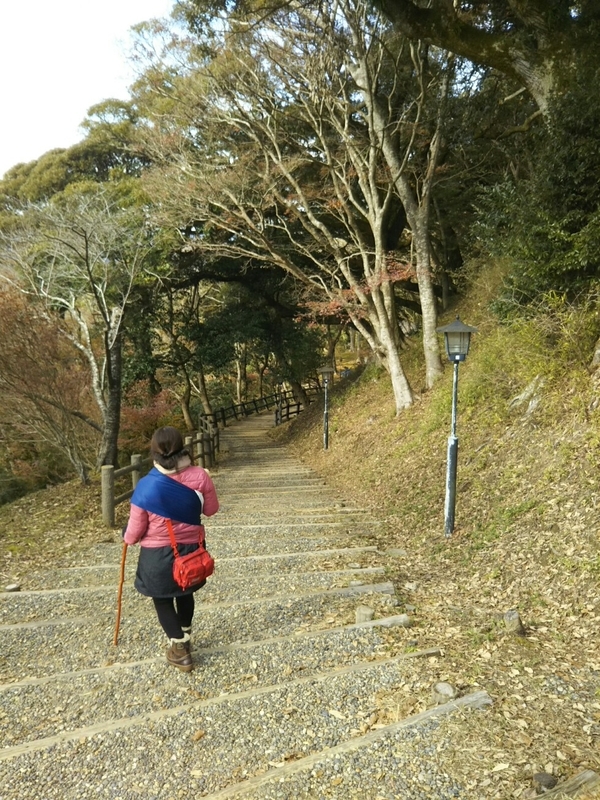 f:id:hirotaka72:20181215105452j:image:w235