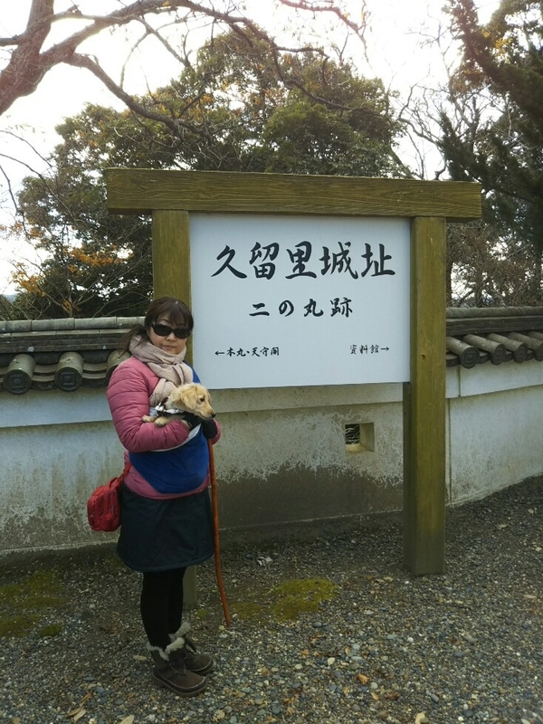 f:id:hirotaka72:20181215105803j:image:w235