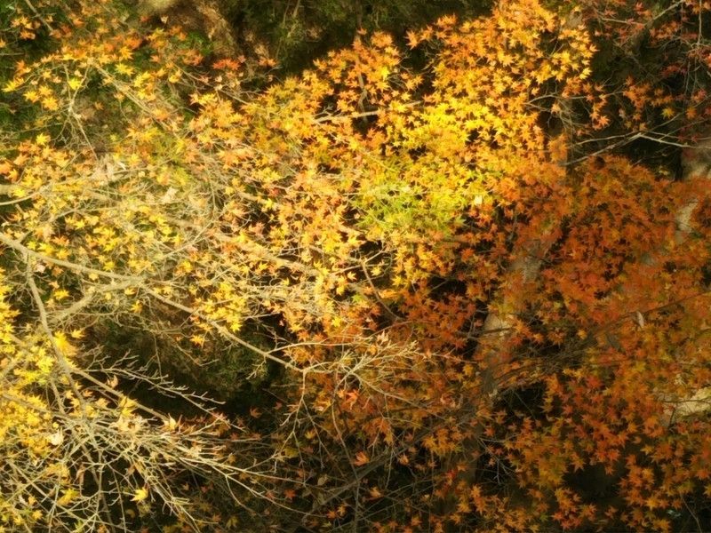 f:id:hirotaka72:20181215110249j:plain