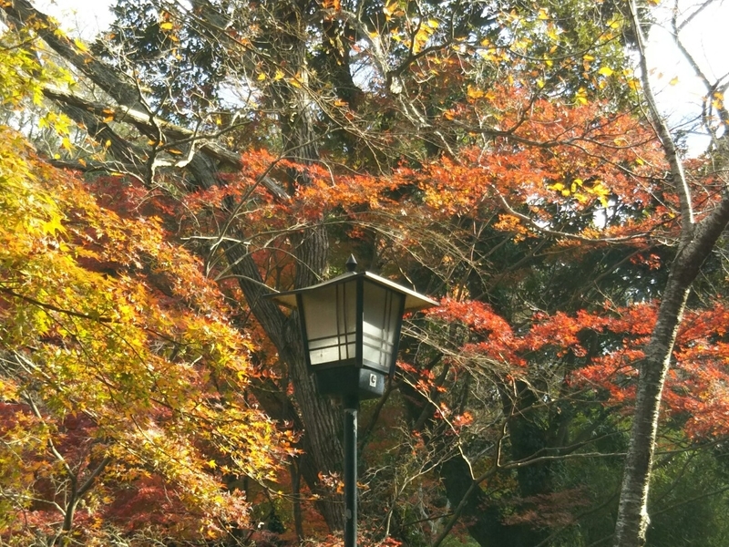 f:id:hirotaka72:20181215110604j:plain