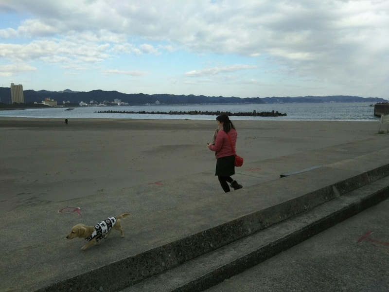 f:id:hirotaka72:20181215131545j:plain