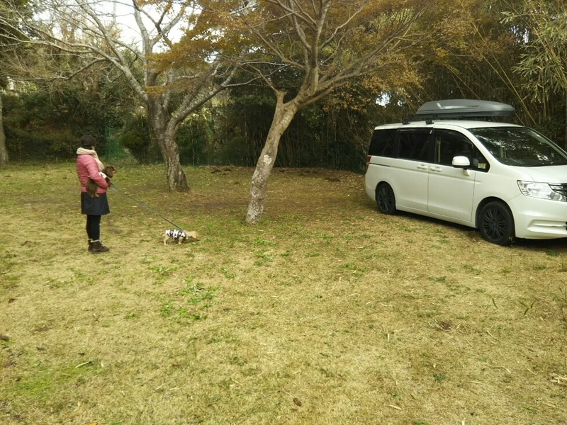 f:id:hirotaka72:20181215140146j:plain