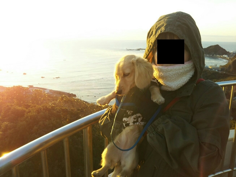 f:id:hirotaka72:20181216065916j:plain