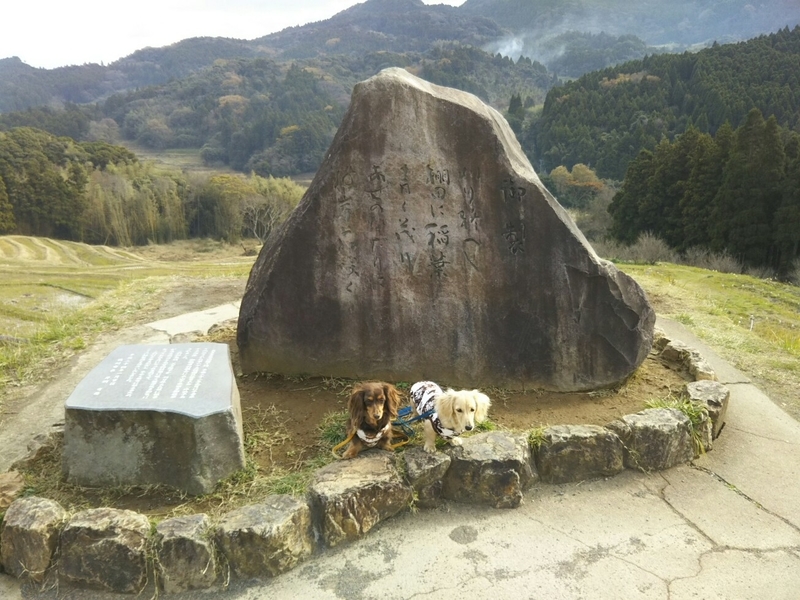 f:id:hirotaka72:20181216114231j:plain