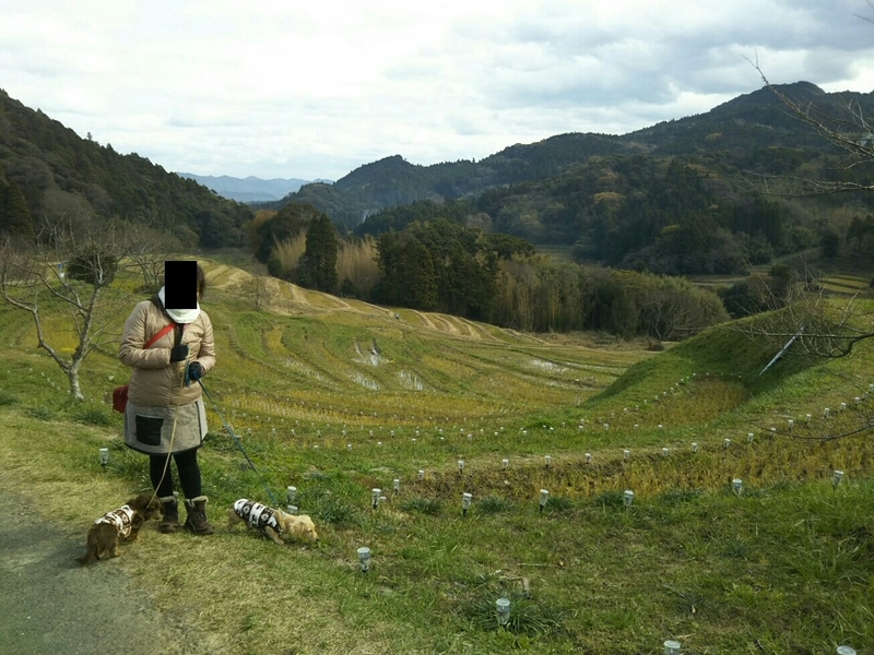 f:id:hirotaka72:20181216114356j:plain