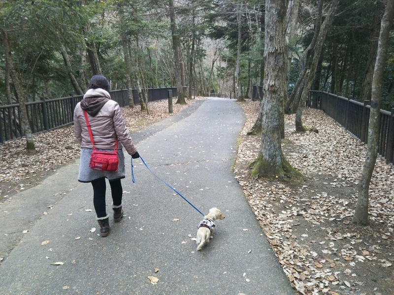 f:id:hirotaka72:20181216131812j:plain