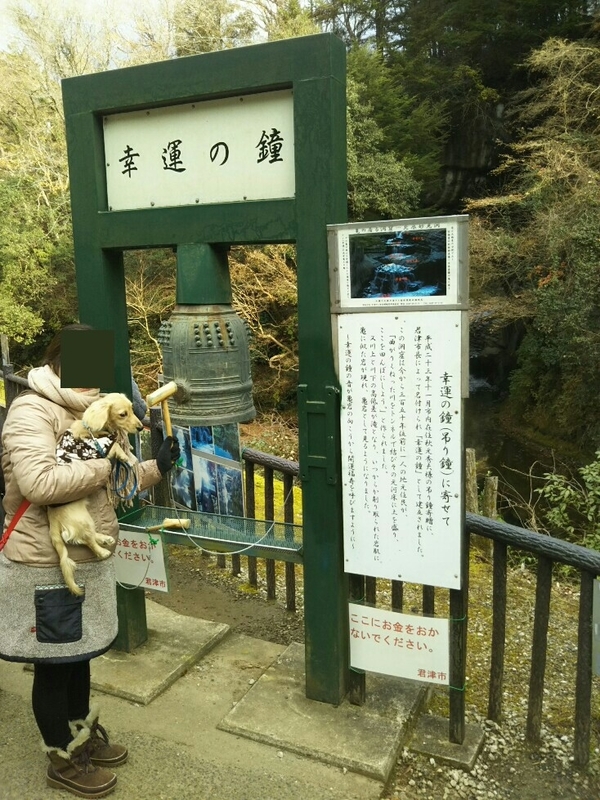f:id:hirotaka72:20181216132125j:plain