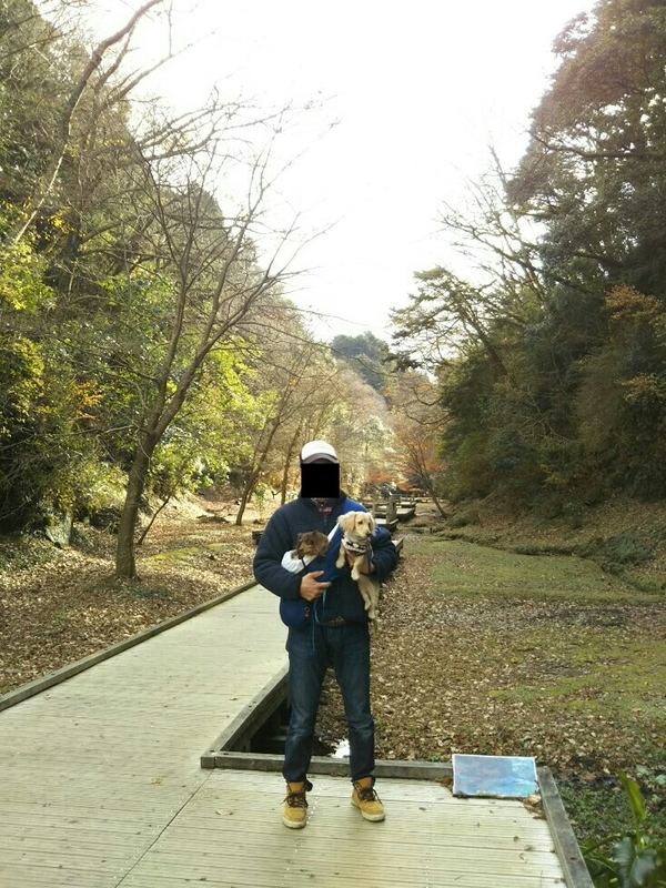 f:id:hirotaka72:20181216132932j:plain
